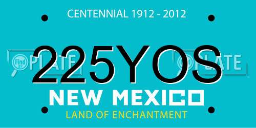 225YOS New Mexico License Plate