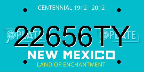 22656TY New Mexico License Plate