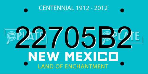 22705B2 New Mexico License Plate
