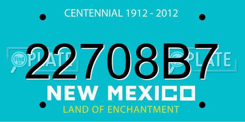 22708B7 New Mexico License Plate