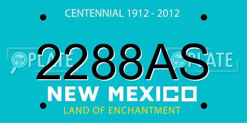 2288AS New Mexico License Plate