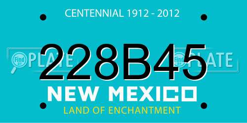 228B45 New Mexico License Plate