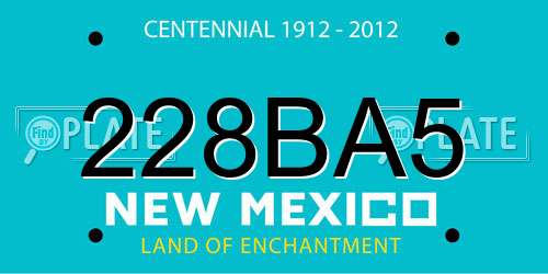 228BA5 New Mexico License Plate