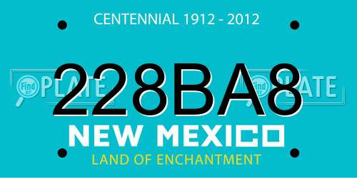 228BA8 New Mexico License Plate