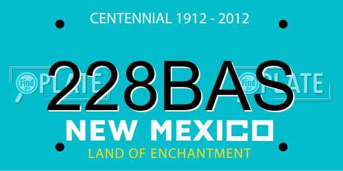 228BAS New Mexico License Plate