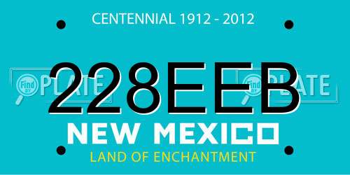228EEB New Mexico License Plate
