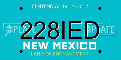 228IED New Mexico License Plate
