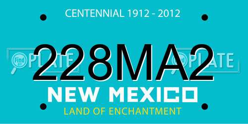 228MA2 New Mexico License Plate