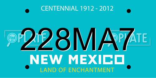 228MA7 New Mexico License Plate