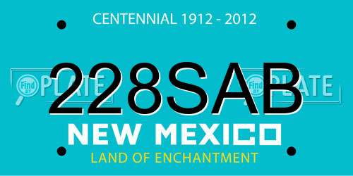 228SAB New Mexico License Plate