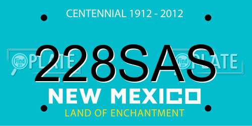 228SAS New Mexico License Plate