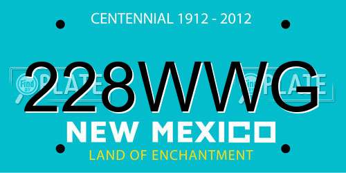 228WWG New Mexico License Plate