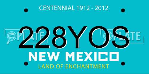 228YOS New Mexico License Plate