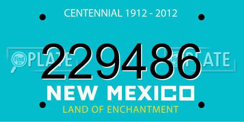 229486 New Mexico License Plate