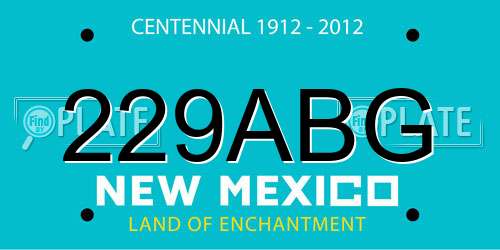 229ABG New Mexico License Plate