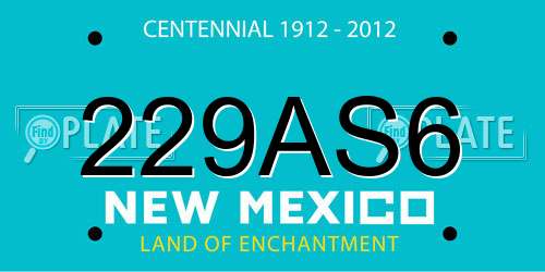 229AS6 New Mexico License Plate