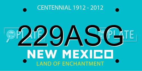 229ASG New Mexico License Plate