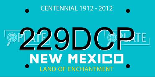 229DCP New Mexico License Plate