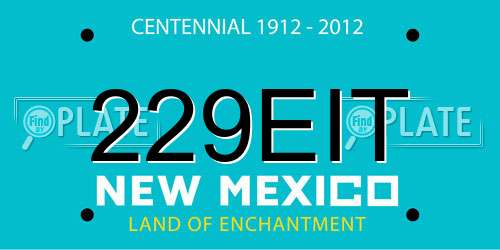229EIT New Mexico License Plate