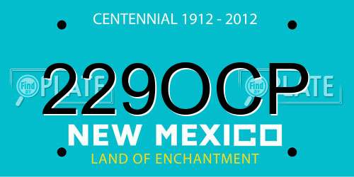 229OCP New Mexico License Plate