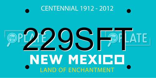 229SFT New Mexico License Plate