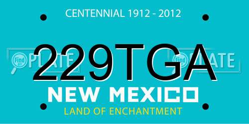 229TGA New Mexico License Plate