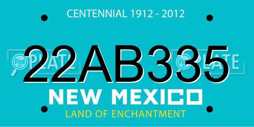 22AB335 New Mexico License Plate