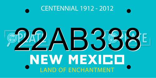 22AB338 New Mexico License Plate
