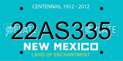 22AS335 New Mexico License Plate