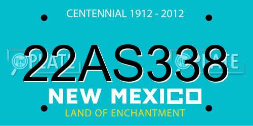 22AS338 New Mexico License Plate