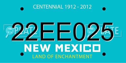 22EE025 New Mexico License Plate