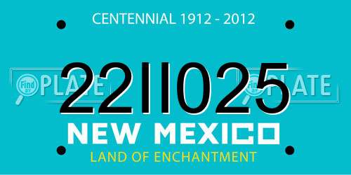 22II025 New Mexico License Plate