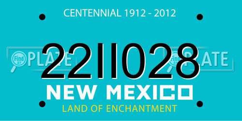 22II028 New Mexico License Plate