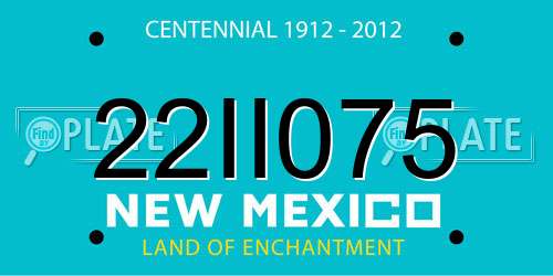 22II075 New Mexico License Plate