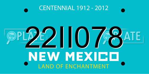 22II078 New Mexico License Plate
