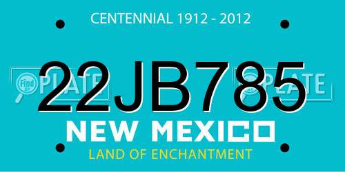 22JB785 New Mexico License Plate
