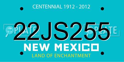 22JS255 New Mexico License Plate