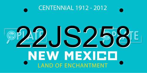 22JS258 New Mexico License Plate