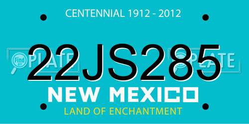 22JS285 New Mexico License Plate