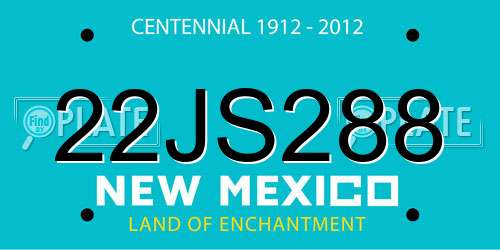 22JS288 New Mexico License Plate