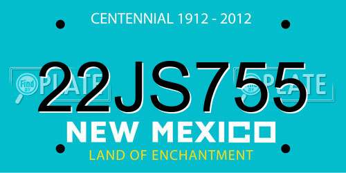 22JS755 New Mexico License Plate