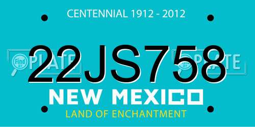 22JS758 New Mexico License Plate