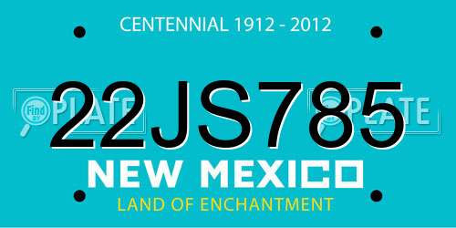 22JS785 New Mexico License Plate