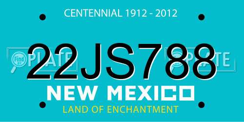 22JS788 New Mexico License Plate