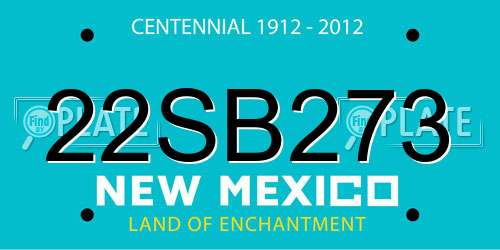 22SB273 New Mexico License Plate