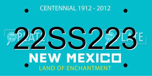 22SS223 New Mexico License Plate