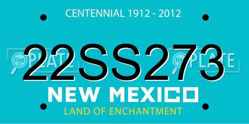 22SS273 New Mexico License Plate
