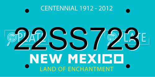 22SS723 New Mexico License Plate