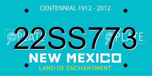 22SS773 New Mexico License Plate
