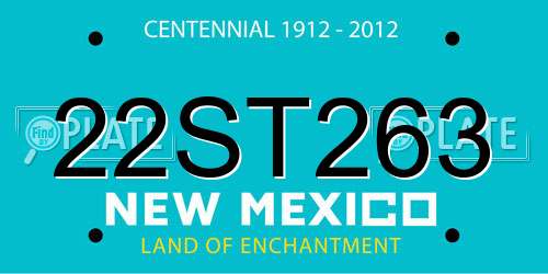 22ST263 New Mexico License Plate